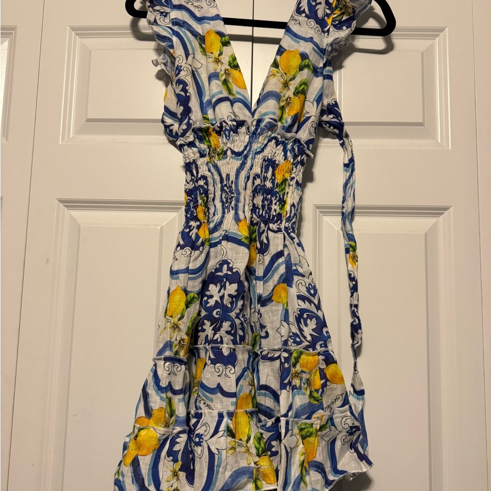 Lemon Print Blue and White Mini Dress